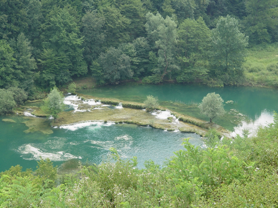 Sedrene barijere na rijeci Mrežnici, autor: Vladimir Hršak