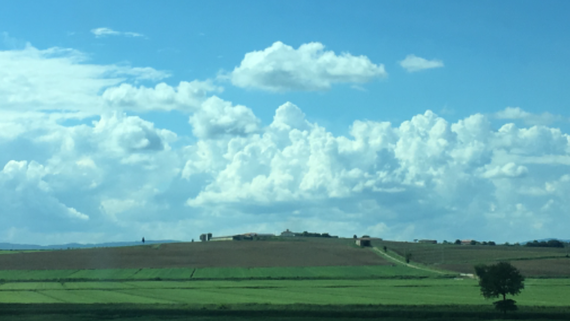 Oblaci i polje, Hana Mesić