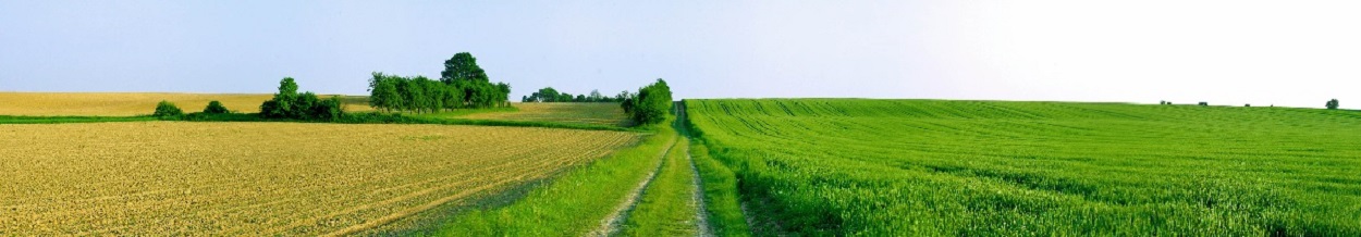 Fotografija tlo i zemljište