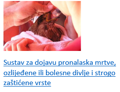 sustav za dojavu_web obrazac.png