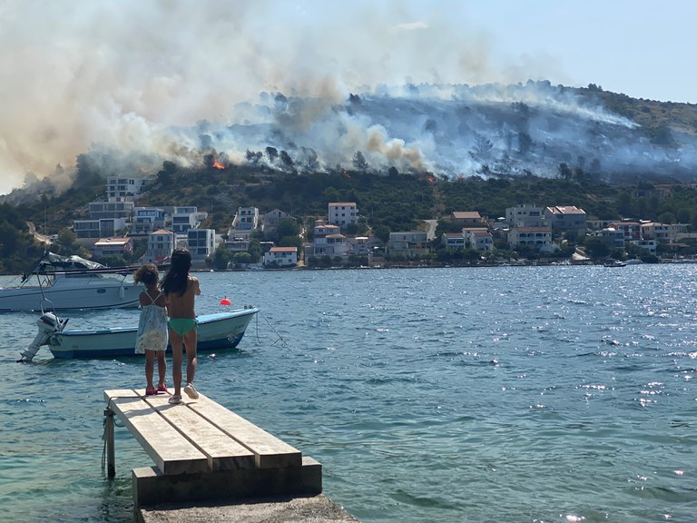 Zvonimir Zvonar_Disappearing green future.jpeg