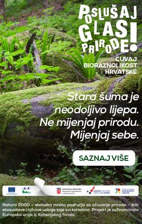 Stara šuma je neodoljivo lijepa