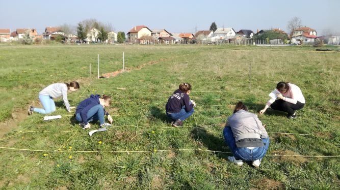 Učenici Osnovne škole Kneginec Gornji prebrojavaju kockavicu