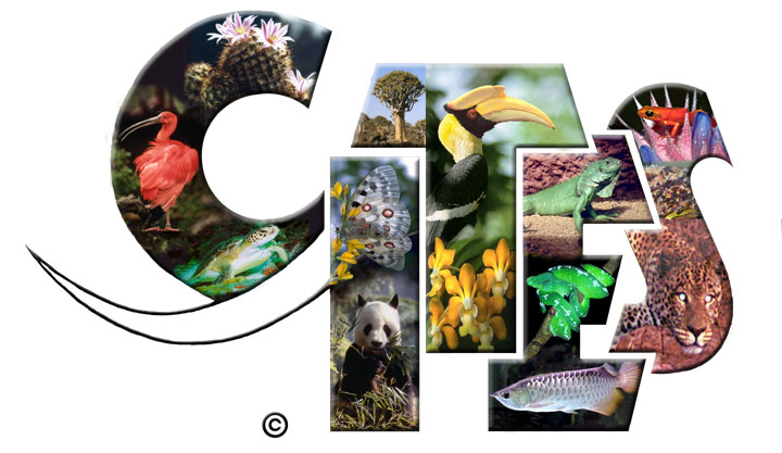 CITES logo