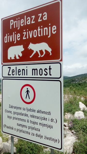 Znak zelenog mosta