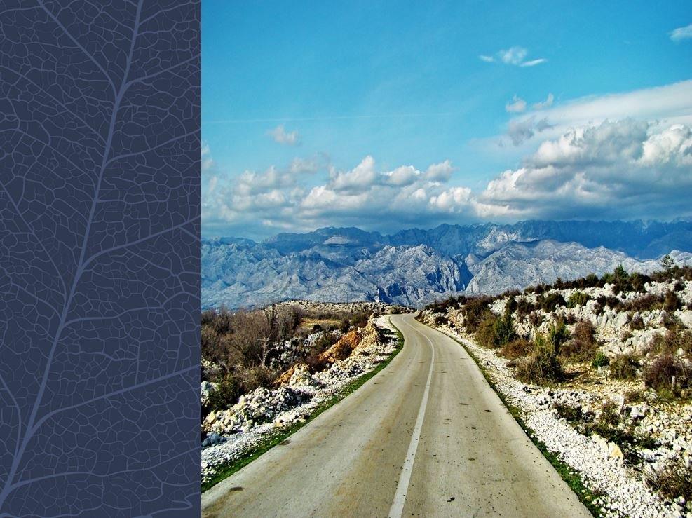 Izvješće o tekućim naftnim gorivima za 2017. godinu