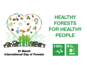 Međunarodni dan šuma