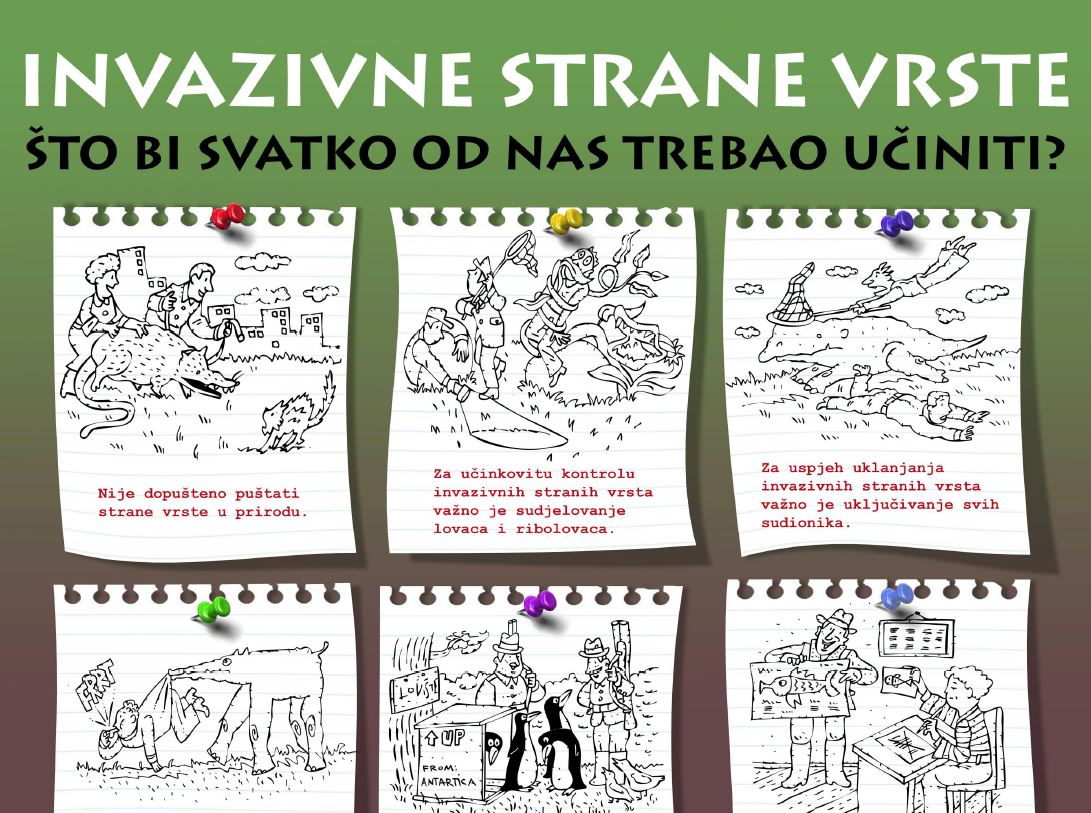 Invazivne strane vrste - pravila ponašanja