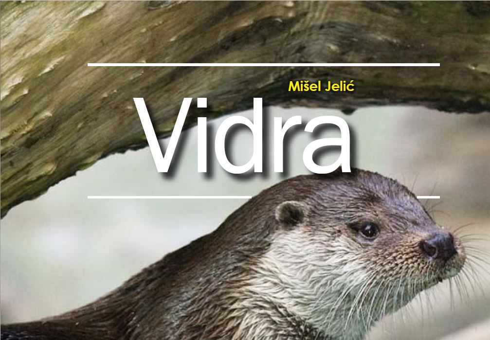 Jelic-Vidra_Prirucnik