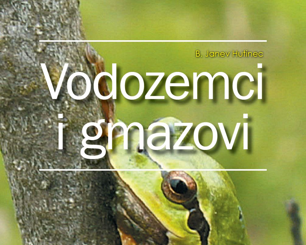 Hutinec-Vodozemci_i_gmazovi_Prirucnik