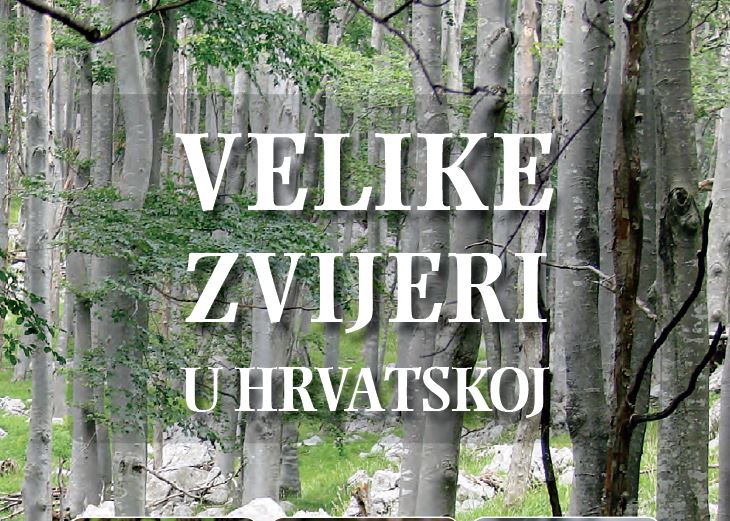 Velike zvijeri u Hrvatskoj